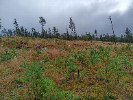 #8: way up to CP, distance approx 300 meters