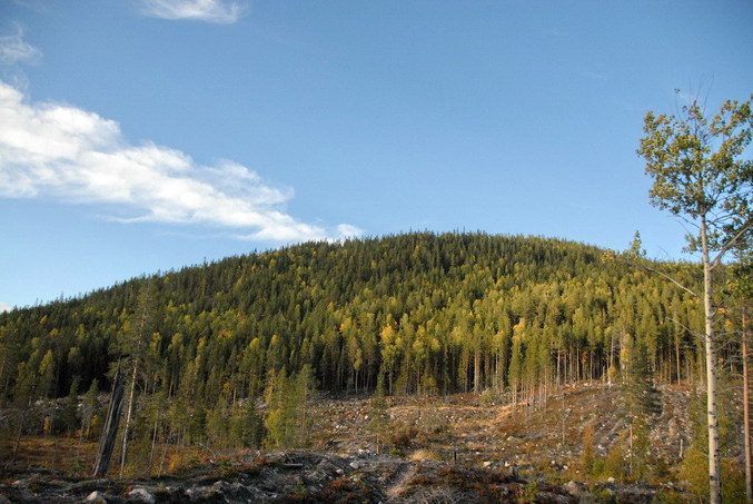 View north / Blick nach Norden