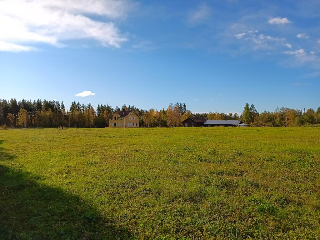 on meadow towards parking