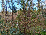 #3: Süden; view south