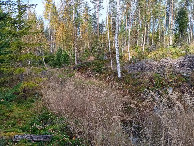 #4: Westen; view west