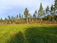 #8: on meadow towards CP