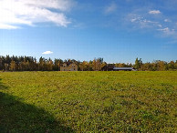 #9: on meadow towards parking