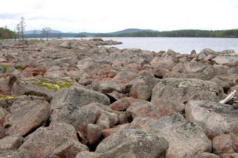 #1: The confluence is under the driftwood in the middle