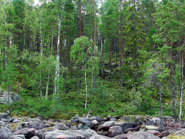 view South / südliche Sicht