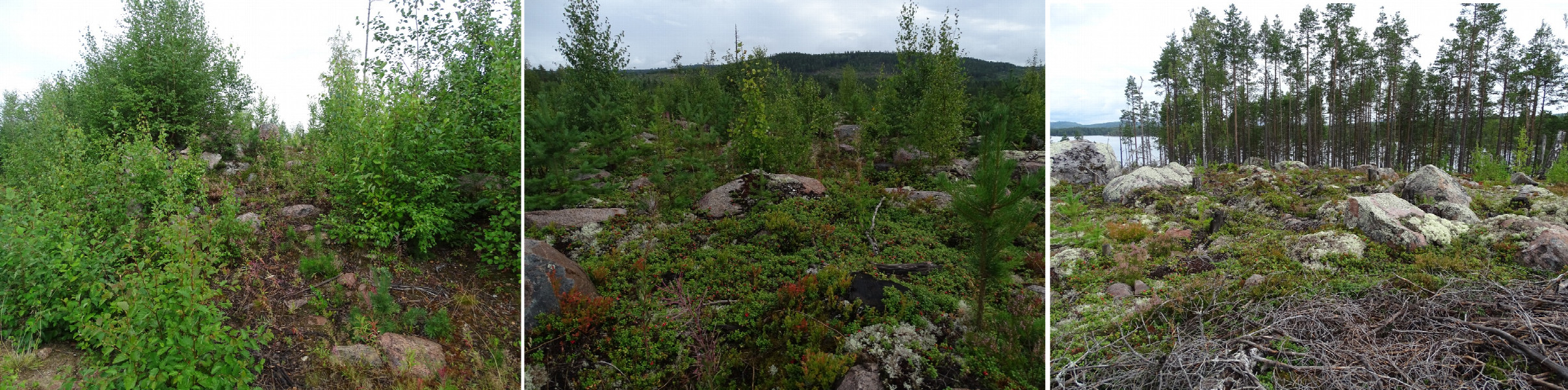 Turn Off Track/Difficult Terrain/Before Descent To The Rocks