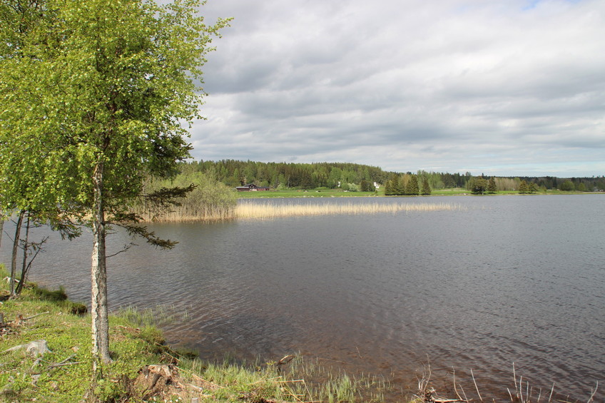 Looking north to the CP, from 260 m south