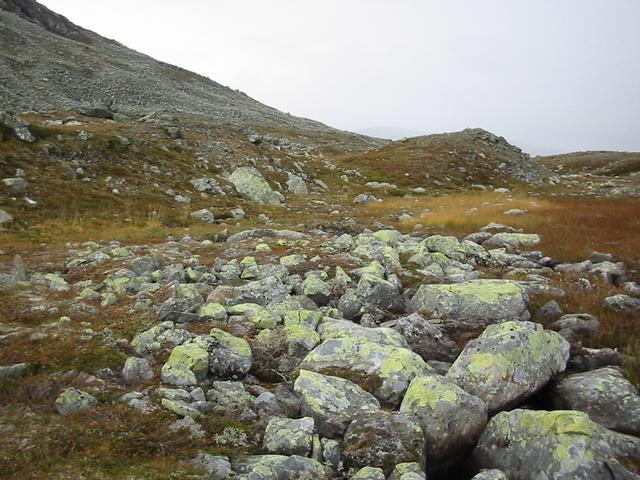 View west