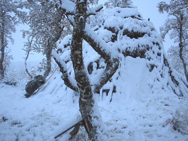 Tväråkåtan hunter's hut in snow