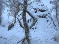 #8: Tväråkåtan hunter's hut in snow