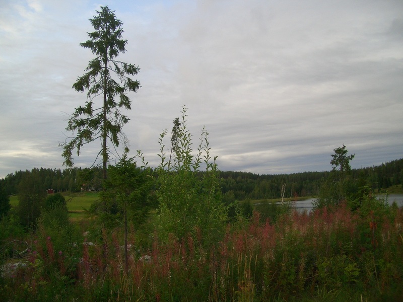 View North