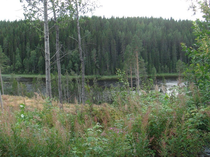 Lake Langtjärnen