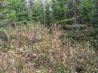 #2: Osten; view east