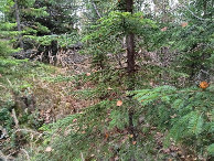 #3: Süden; view south