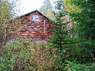 #8: house in the green