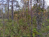 #2: Osten; view east