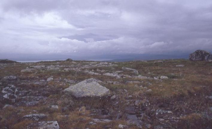 CP 64°N 13°E, looking west