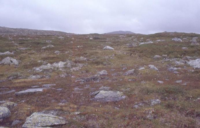 looking east