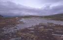 #2: looking north