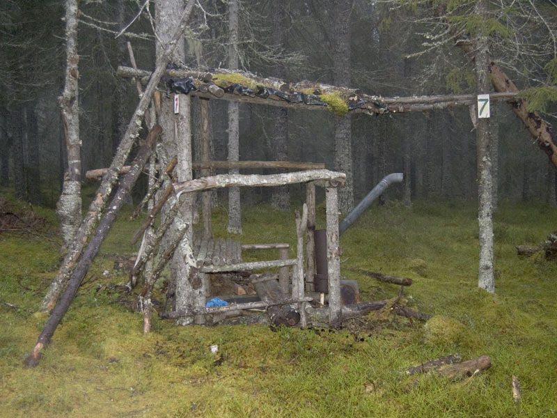 Shelter