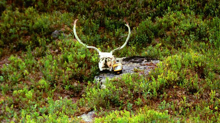 Some other visitor that didnt make it to the point. Notice that he never let go of the GPS :)