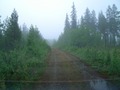 #7: Muddy track