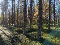 #3: Süden; view south