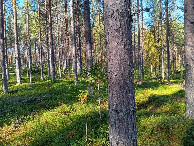 #4: Westen; view west