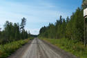 #2: The gravel road near Byske, 700m from the confluence point / Die Schotterpiste in der Nähe von Byske, Ausgangspunkt der Wanderung zum Confluence Punkt