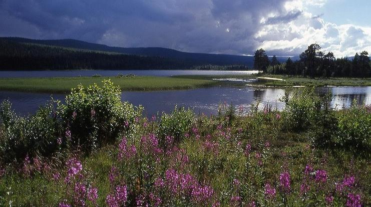 valley of the river Vindelälven