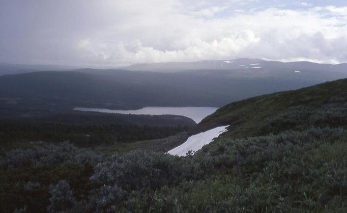 lake Tjulträsket