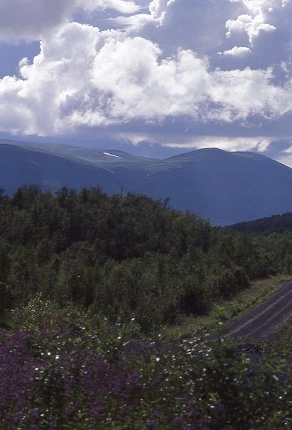 the way to the lake