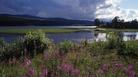 #10: valley of the river Vindelälven