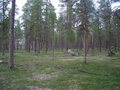 #2: View North