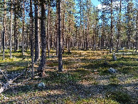 #2: Osten; view east