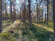 #3: Süden; view south