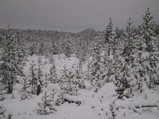 #1: Confluence area, direction northwest, with mountain SUORKE 366 meters above sea level.