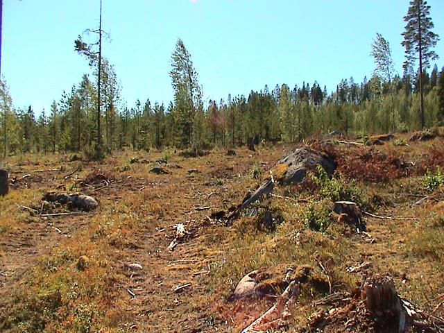 View to the south over the confluence point