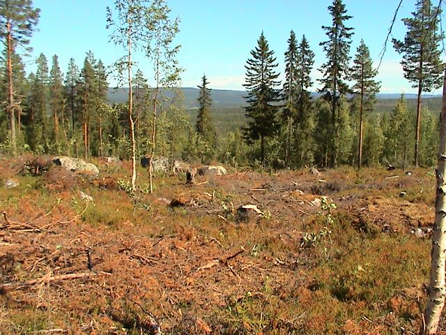 View to the north on the heights of Haradskölen