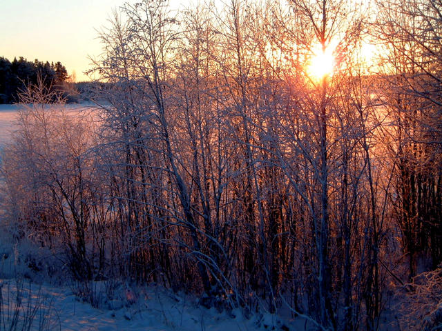 Mid day sun at Prästholm just south of 66N 22E