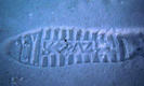#7: Suspect's footprints