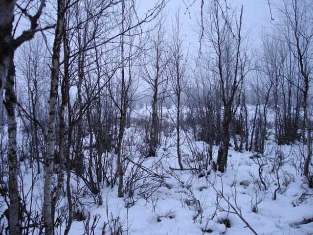 South
