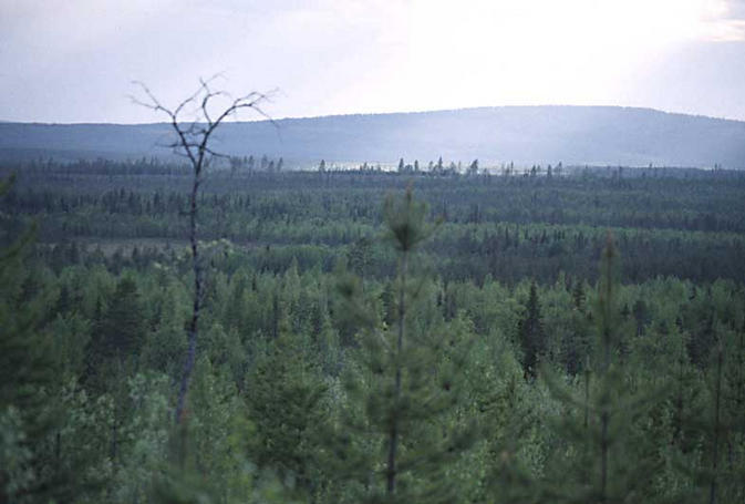 The landscape around the point