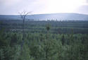 #4: The landscape around the point