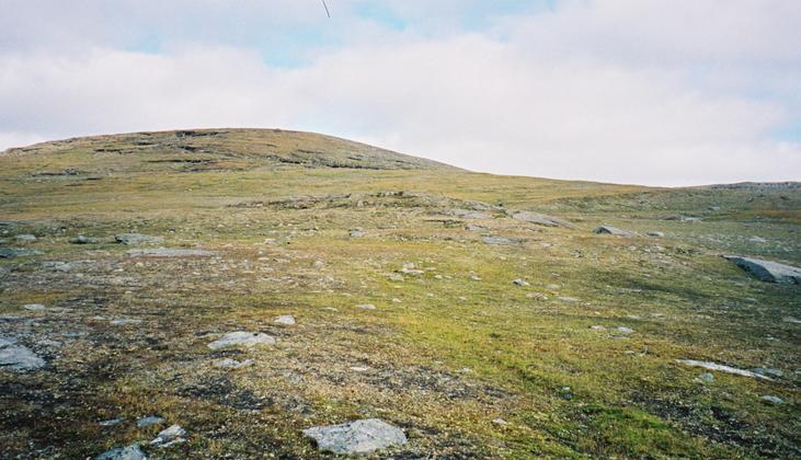 View north from the confluence point.