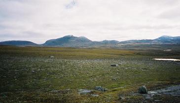 #1: View from the confluence point, looking east.