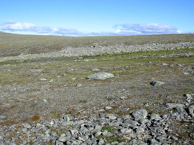 View east