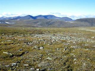 #1: Overview towards NW from 40 m distance