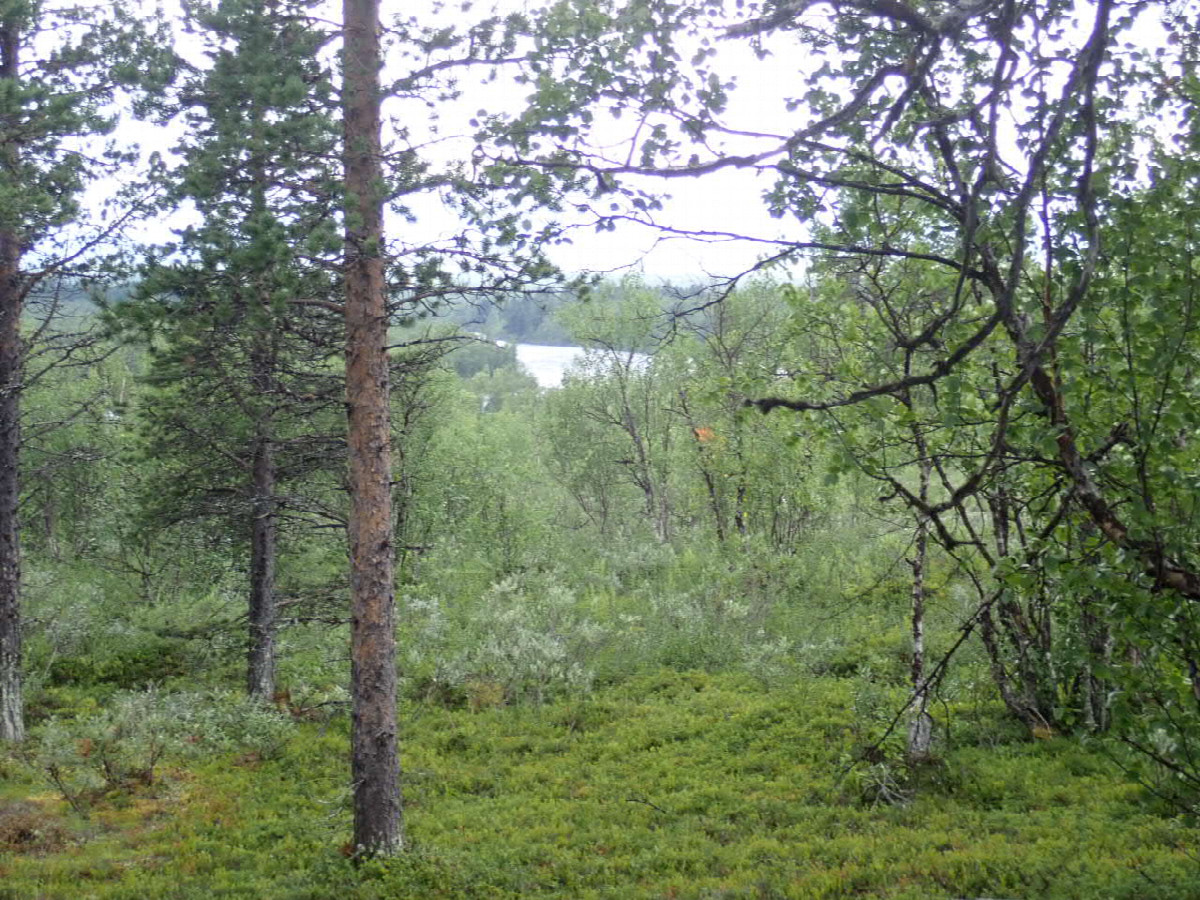 400 Meters bevor Rautas River crossing / Noch 400 Meter zum Ufer zur&uuml;ck
