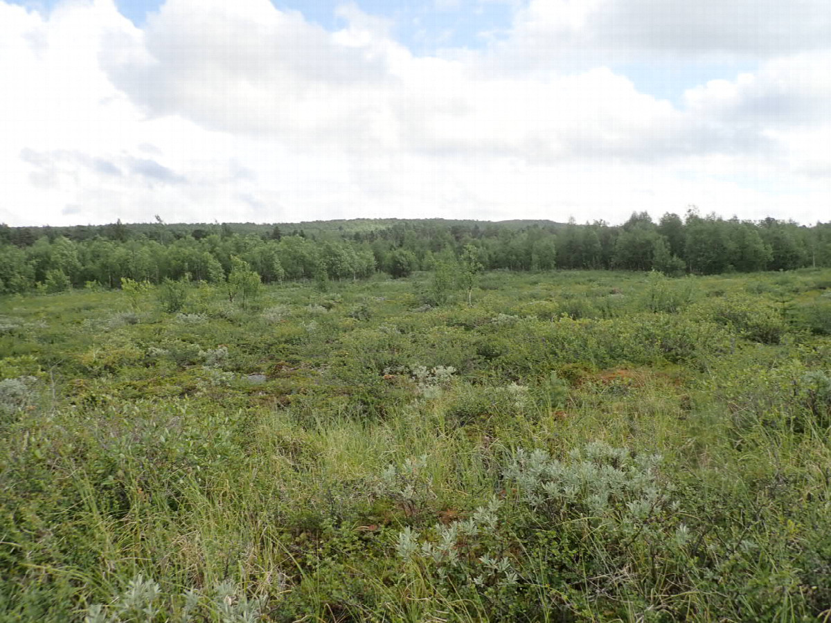 North view / N&ouml;rdliche Sicht